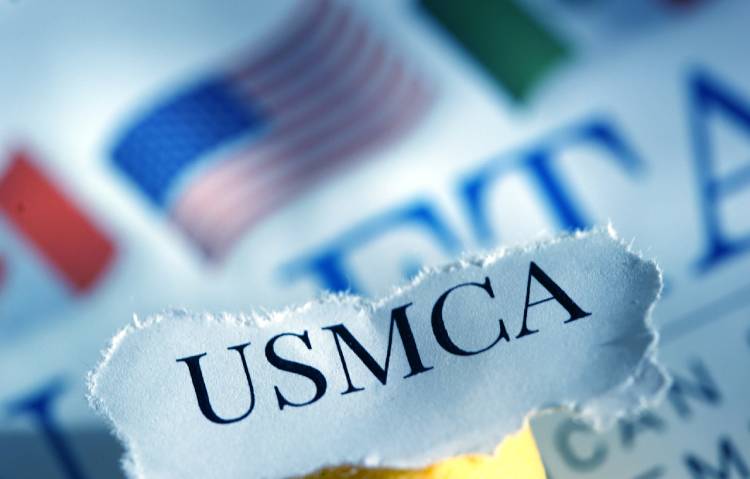 USMCA TN Visa Lawyer