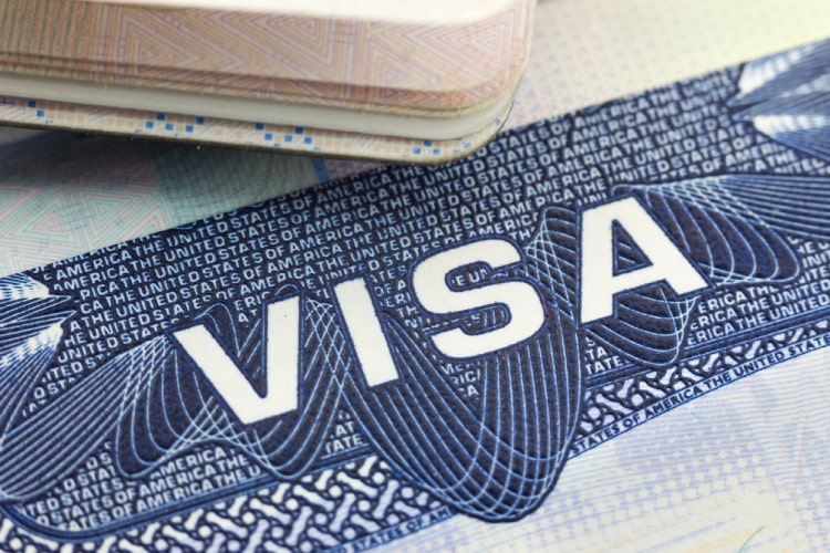 How do I check nonimmigrant visa appointment wait times?