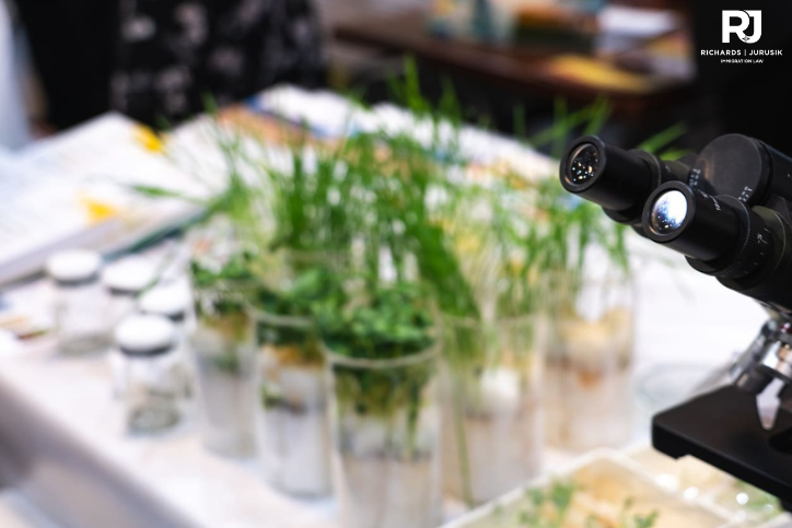 How to Qualify for a TN Visa as a Plant Breeder