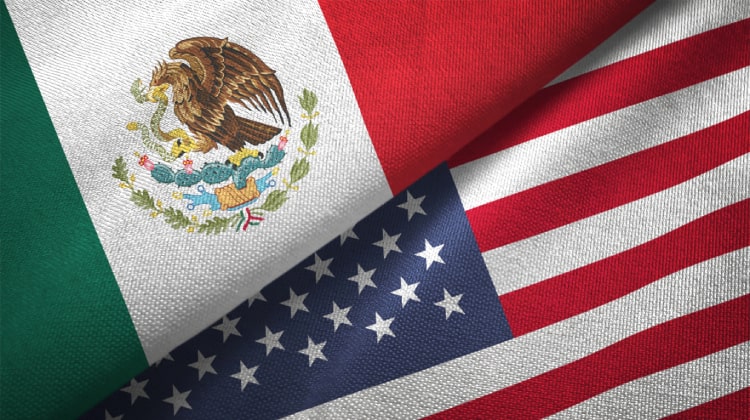 Navigating Travel with an Expired TN Visa as a Mexican Citizen