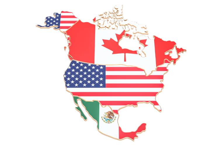 What is the difference between TN visa status for Canadians and Mexicans?