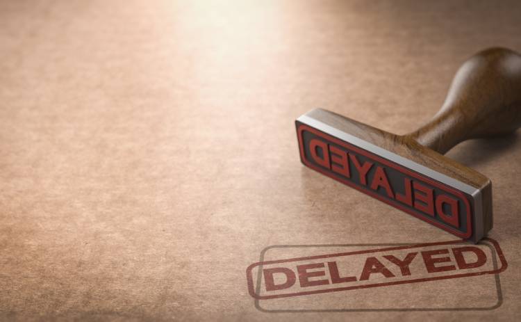 Immigration Application Delays