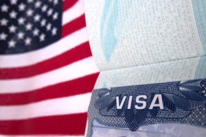 TN Visa Requirements: Employment Agencies