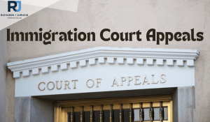 Immigration Court Appeals – How Long Do I Have to Appeal My Case to the Board?