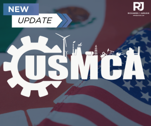 2025 TN Visa Update: USCIS Tightens Rules for Multiple Professions